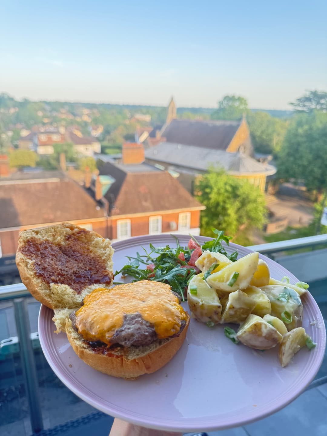 BBQ pork and beef burger with salad and potato salad