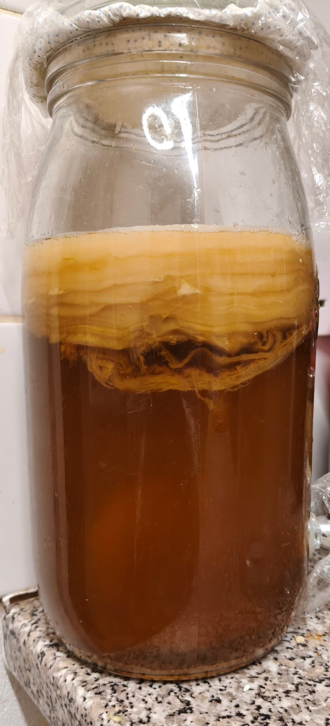 Kombucha: Green & White Tea